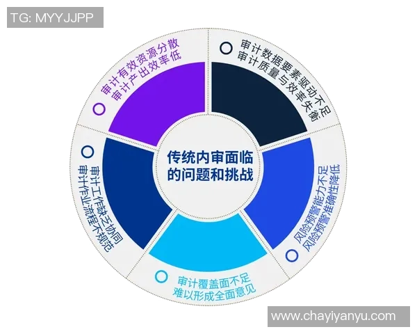 南京网球队的转型之路：得失与未来展望分析