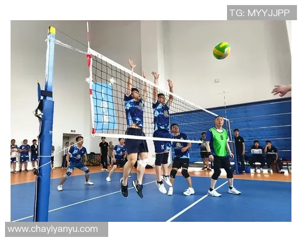 深圳排球队在杯赛中的精彩表现与实力分析